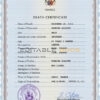 Customizable France Death Certificate PSD Templates | Instant Download