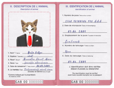 Gabon cat Fake PSD Passport | Instant Download