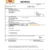 Fillable Georgia Death PDF Templates | Blank Docs