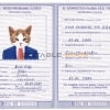 Germany cat Fake PSD Passport | Instant Download