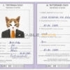 Greece cat Fake PSD Passport | Instant Download