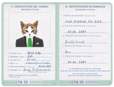 Guatemala cat Fake PSD Passport | Instant Download