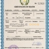 Customizable Guatemala Death Certificate PSD Templates | Instant Download