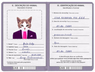 Guinea-Bissau cat Fake PSD Passport | Instant Download
