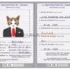 Guinea cat Fake PSD Passport | Instant Download