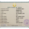 Customizable Guinea Death Certificate PSD Templates | Instant Download