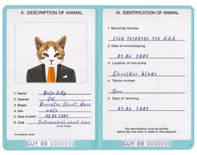 Guyana cat Fake PSD Passport | Instant Download