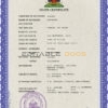 Customizable Haiti Death Certificate PSD Templates | Instant Download