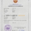 Hawaii Marriage Certificate | Editable PSD Templates