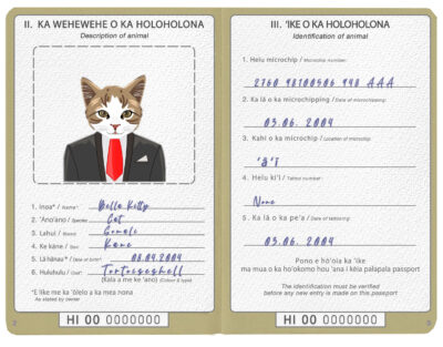 Hawaii cat Fake PSD Passport | Instant Download