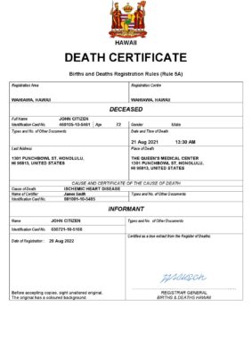 Hawaii death certificate Word and PDF template, completely editable