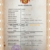 Customizable Hawaii Death Certificate PSD Templates | Instant Download