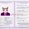 Holy See cat Fake PSD Passport | Instant Download