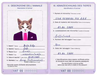 Holy See cat Fake PSD Passport | Instant Download