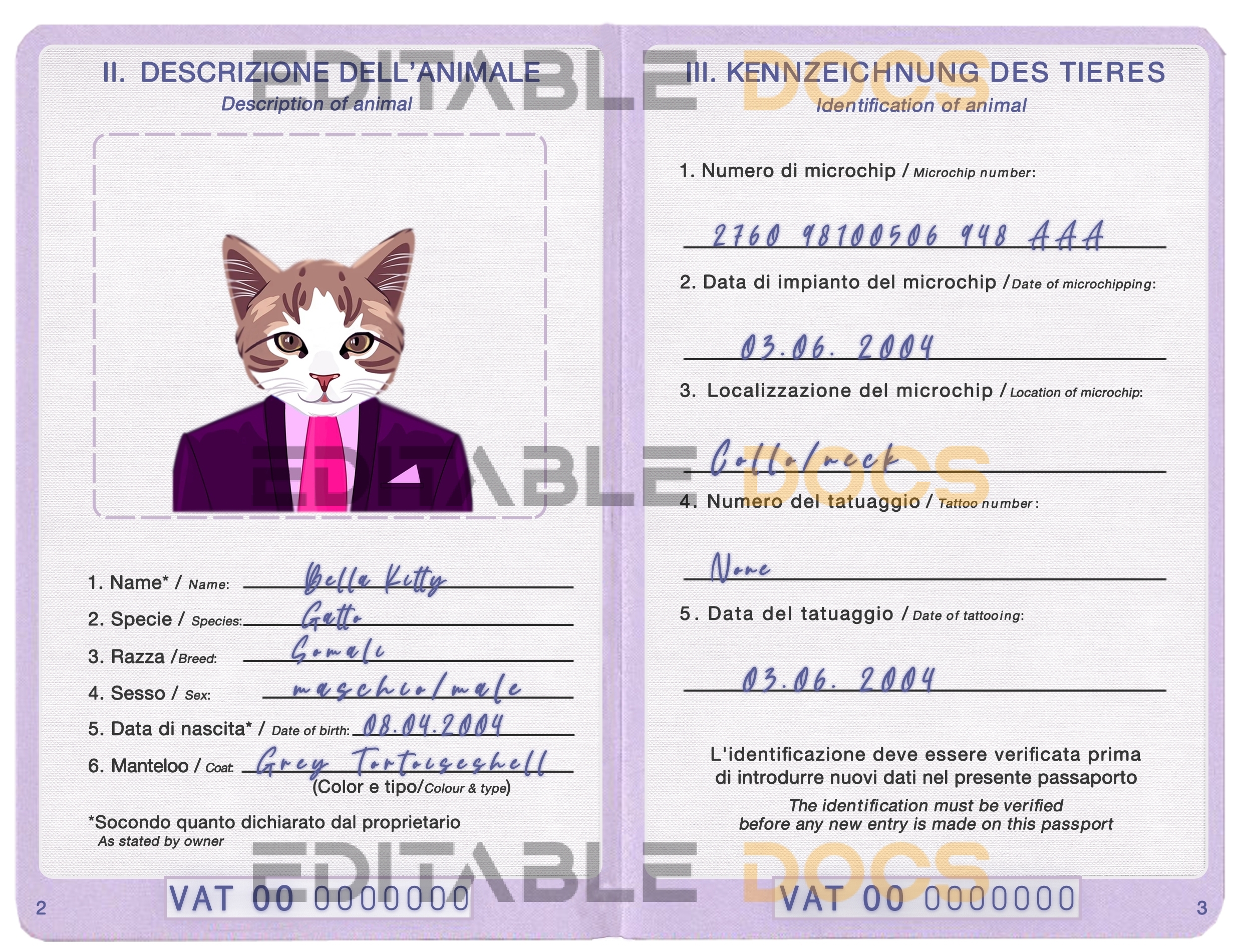Holy See cat Fake PSD Passport | Instant Download