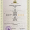 Honduras Marriage Certificate | Editable PSD Templates