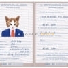 Honduras cat Fake PSD Passport | Instant Download