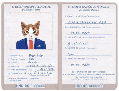 Honduras cat Fake PSD Passport | Instant Download