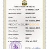 Customizable Honduras Death Certificate PSD Templates | Instant Download