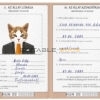 Hungary cat Fake PSD Passport | Instant Download