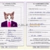 Iceland cat Fake PSD Passport | Instant Download