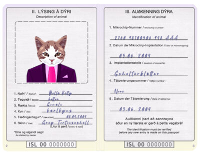 Iceland cat Fake PSD Passport | Instant Download