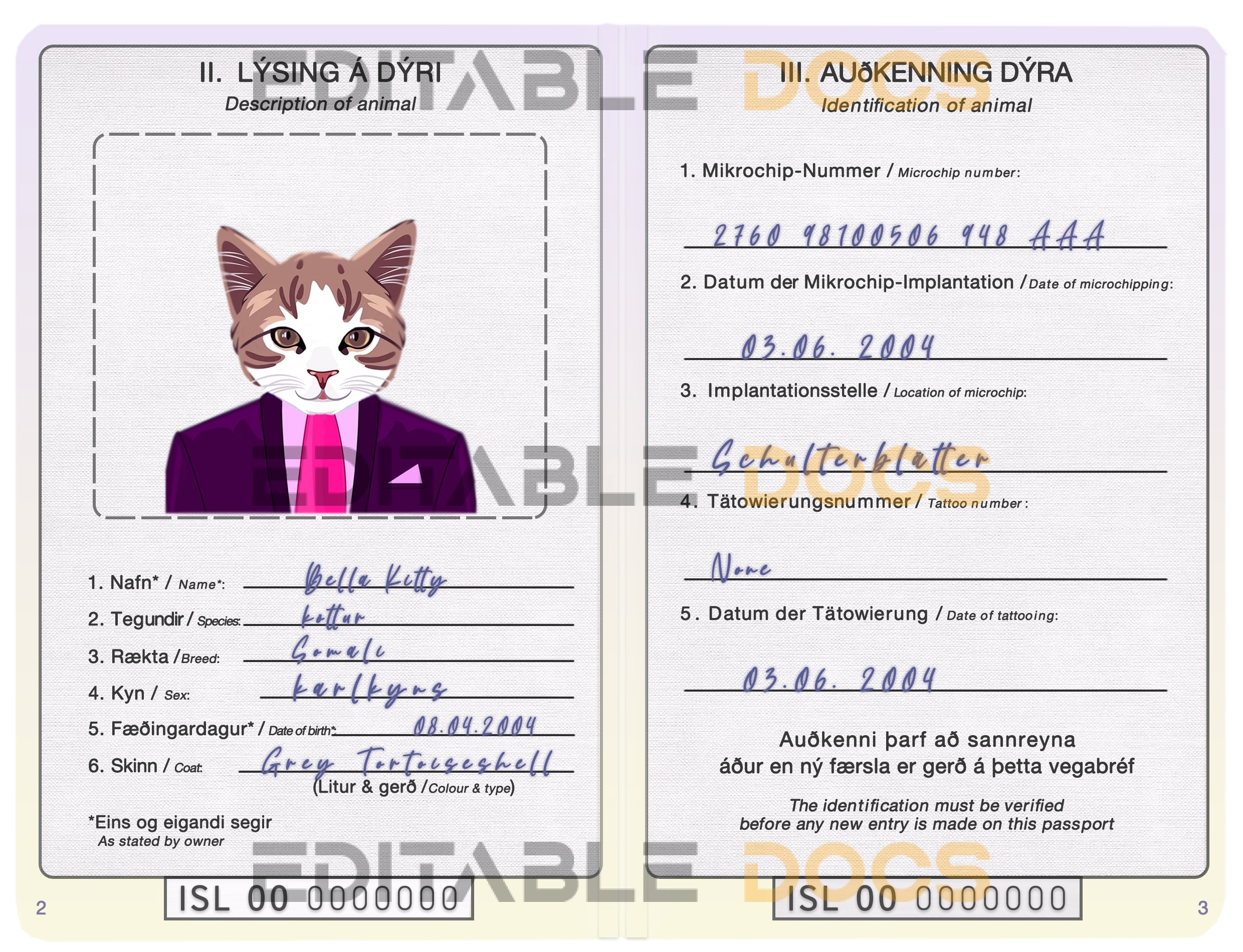 Iceland cat Fake PSD Passport | Instant Download