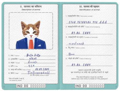 India cat Fake PSD Passport | Instant Download