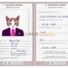 Indonesia cat Fake PSD Passport | Instant Download