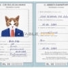 Ireland cat Fake PSD Passport | Instant Download