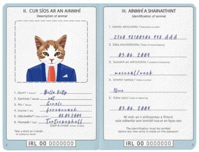 Ireland cat Fake PSD Passport | Instant Download