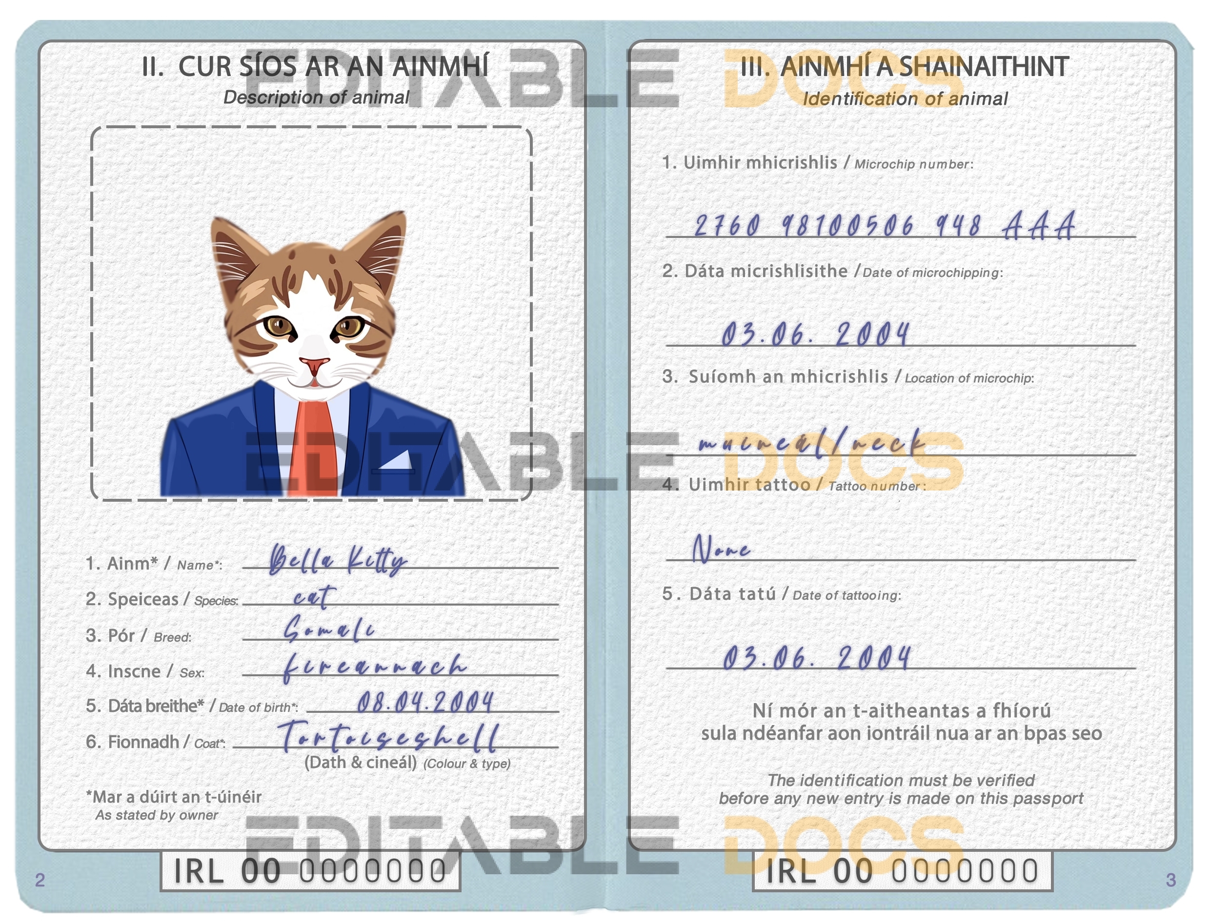 Ireland cat Fake PSD Passport | Instant Download