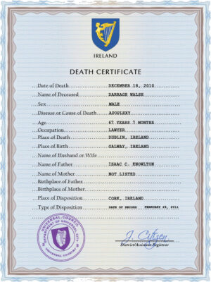 Ireland vital record death certificate PSD template, completely editable