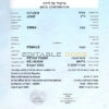 Authentic Israel Birth Certificate Template | Customize and Download Online