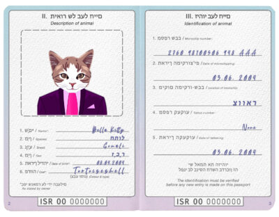 Israel cat Fake PSD Passport | Instant Download