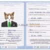 Italy cat Fake PSD Passport | Instant Download