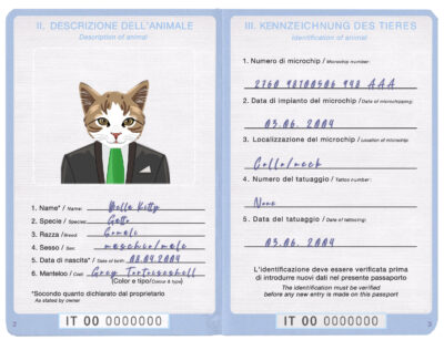 Italy cat Fake PSD Passport | Instant Download