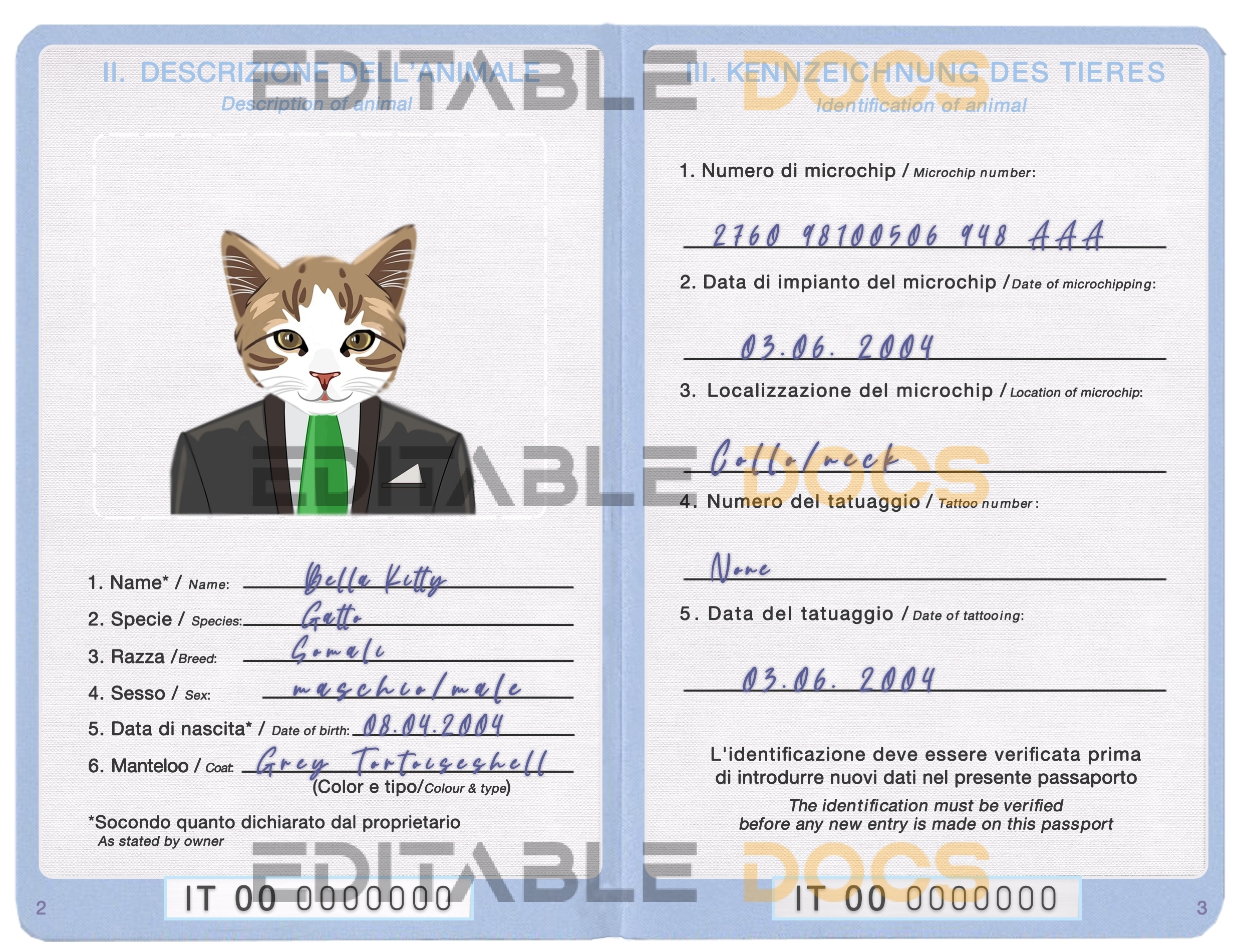 Italy cat Fake PSD Passport | Instant Download