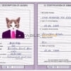 Jamaica cat Fake PSD Passport | Instant Download