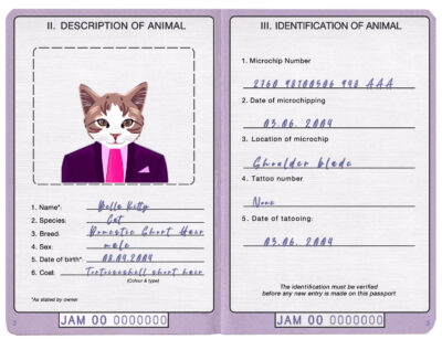 Jamaica cat Fake PSD Passport | Instant Download
