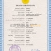 Customizable Japan Death Certificate PSD Templates | Instant Download