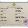 Customizable Kazakhstan Death Certificate PSD Templates | Instant Download