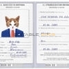 Kenya cat Fake PSD Passport | Instant Download