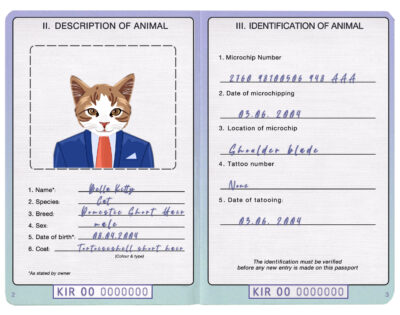 Kiribati cat Fake PSD Passport | Instant Download