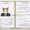 Kuwait cat Fake PSD Passport | Instant Download