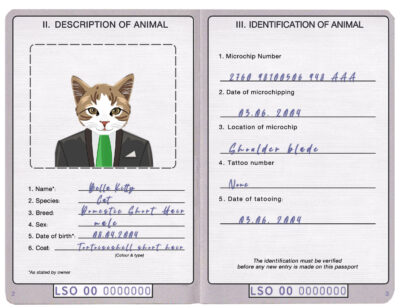 Lesotho cat Fake PSD Passport | Instant Download