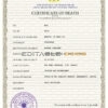 Customizable Madagascar Death Certificate PSD Templates | Instant Download