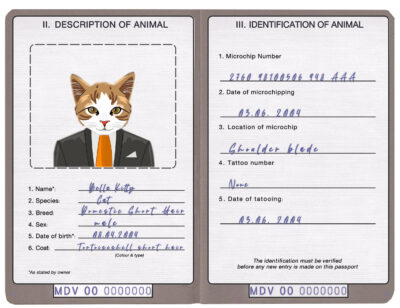 Maldives cat Fake PSD Passport | Instant Download