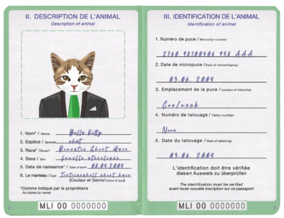 Mali cat Fake PSD Passport | Instant Download