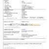 Fillable Mauritania Death PDF Templates | Blank Docs